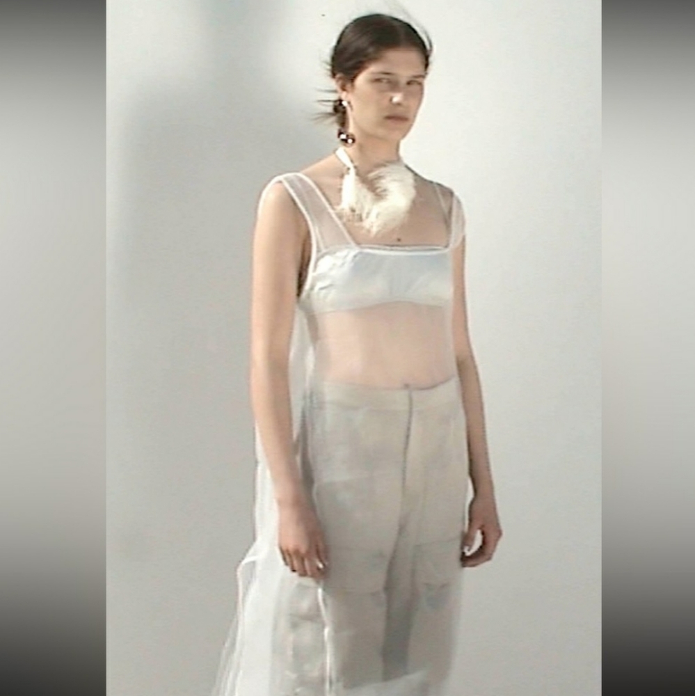 NWT ZARA SHEER ORGANZA MIDI DRESS